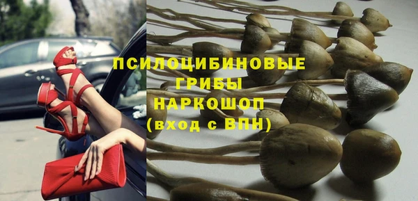 мяу мяу мука Вяземский