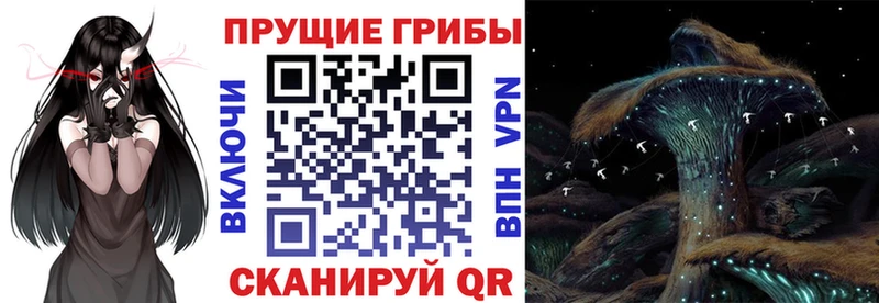 Галлюциногенные грибы ЛСД  Барнаул 